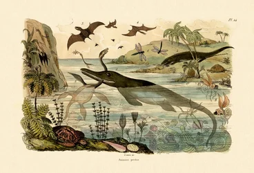 Animais pré-históricos, 1833-39